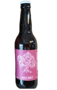 Brasserie du Saule - Triple Miel
