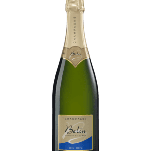 Belin - Bleu Chic Brut