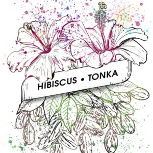 Nassau Rhums - Hibiscus Fève Tonka 10cl